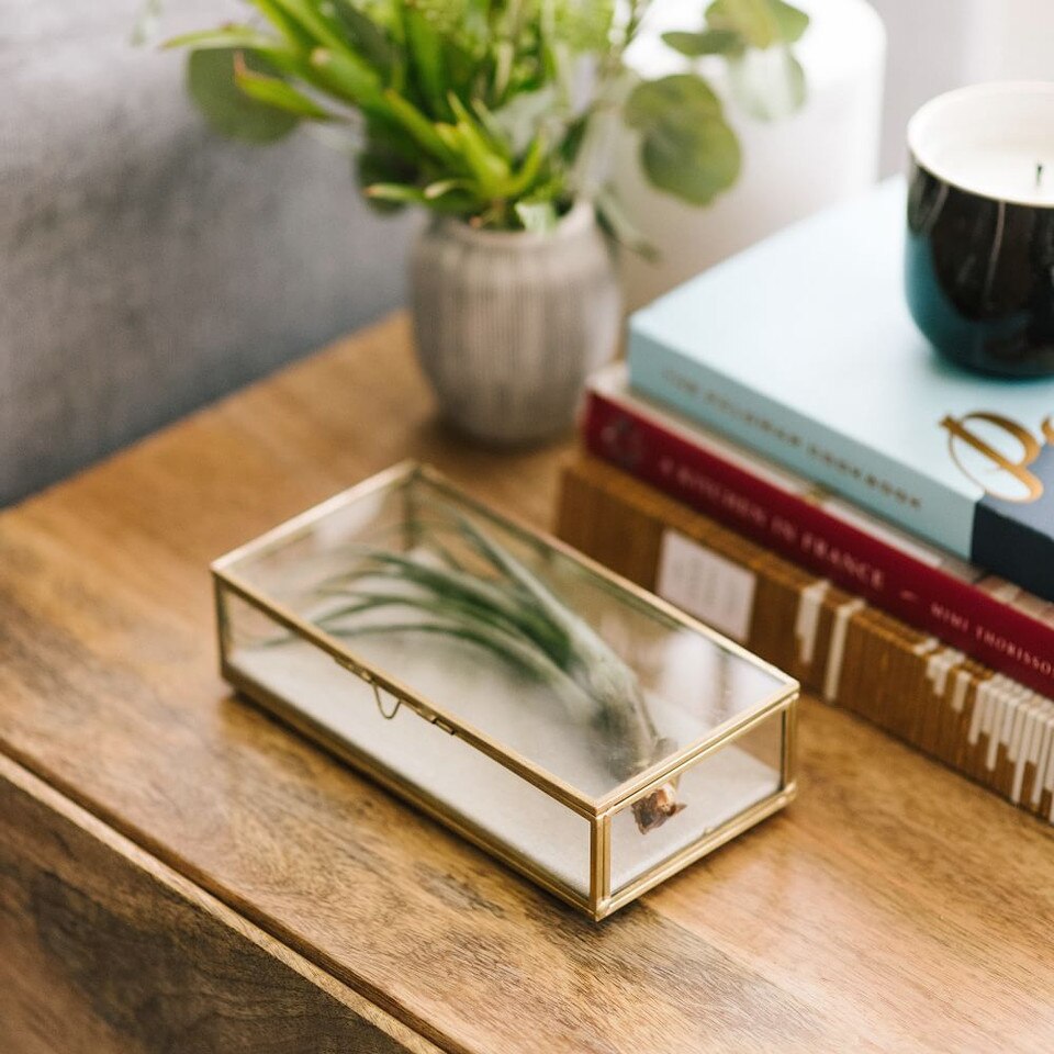 Glass Shadow Boxes West Elm UK